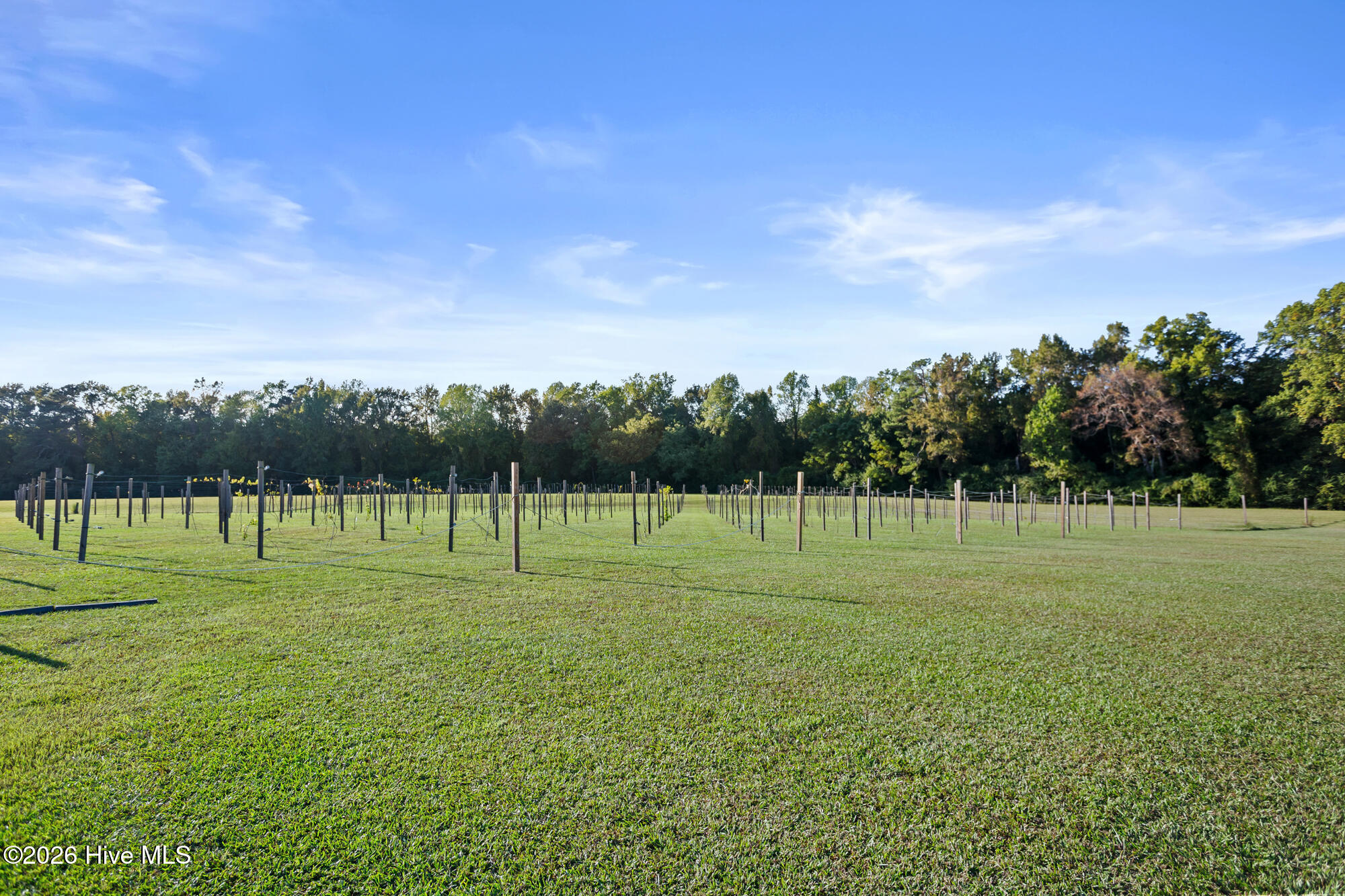2641 Union Valley Road Property Photo 6