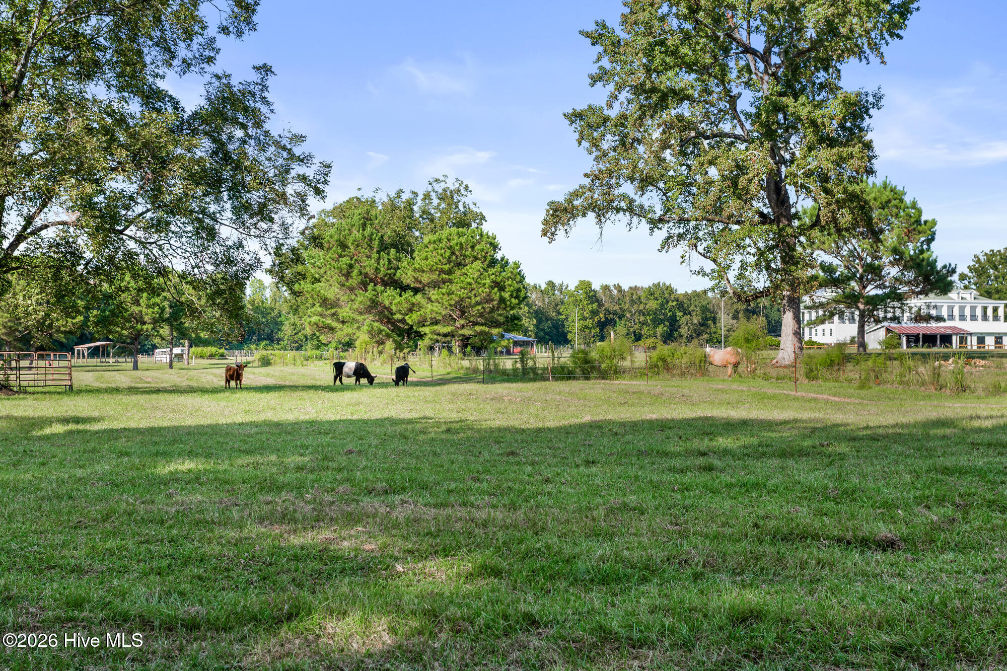 2641 Union Valley Road Property Photo 59