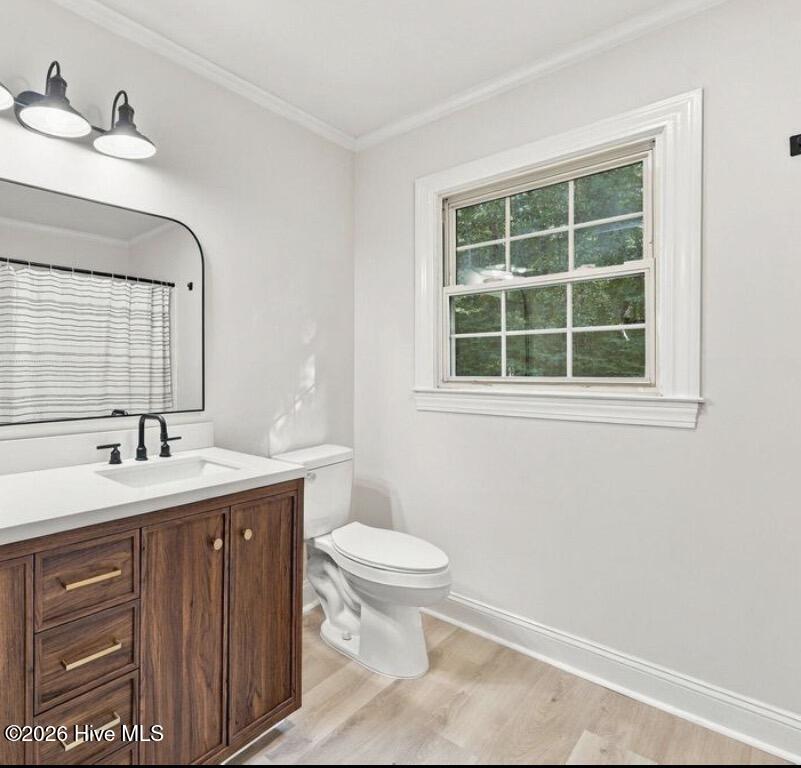 108 Chippendail Drive Property Photo 19