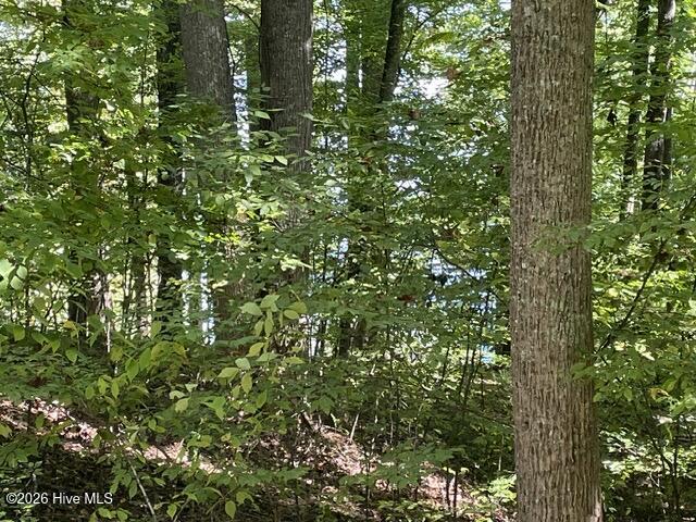 00 Rocky Branch Overlook Property Photo 1