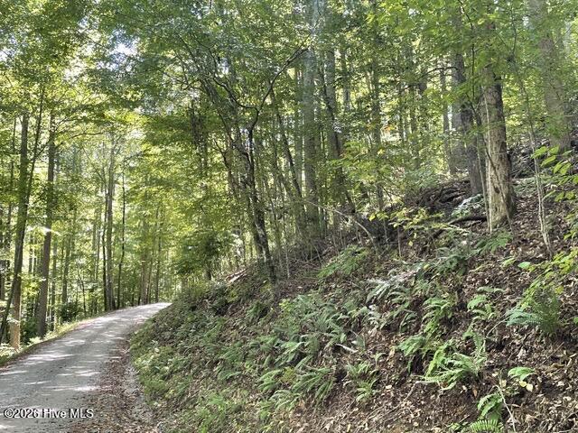 00 Rocky Branch Overlook Property Photo 2