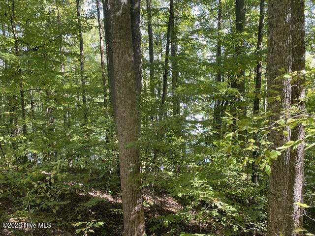 00 Rocky Branch Overlook Property Photo 3