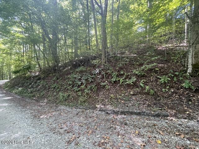 00 Rocky Branch Overlook Property Photo 4