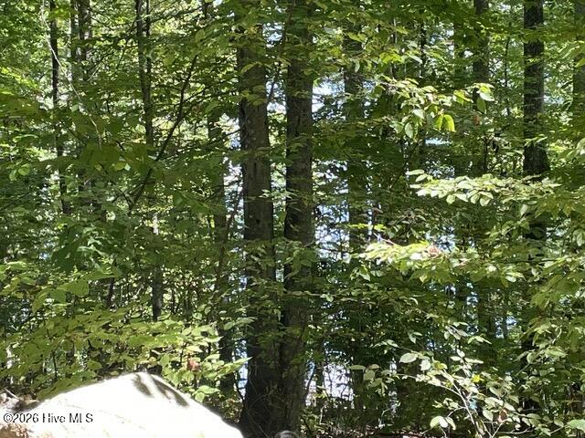 00 Rocky Branch Overlook Property Photo 5