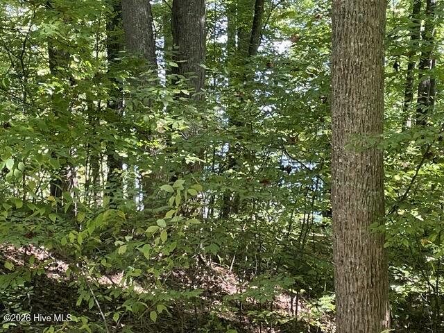 00 Rocky Branch Overlook Property Photo 7