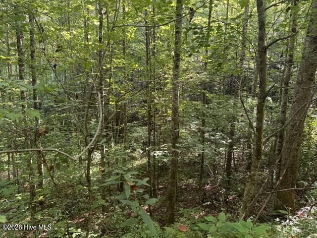 3 Tyler Lane Property Photo 1