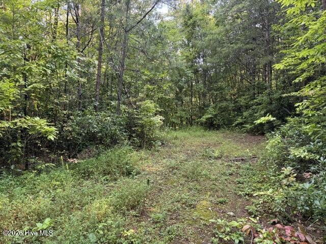 3 Tyler Lane Property Photo 2
