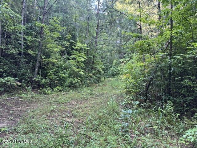 3 Tyler Lane Property Photo 3