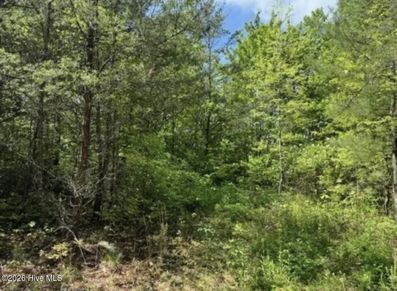 14 Tyler Lane Property Photo 2