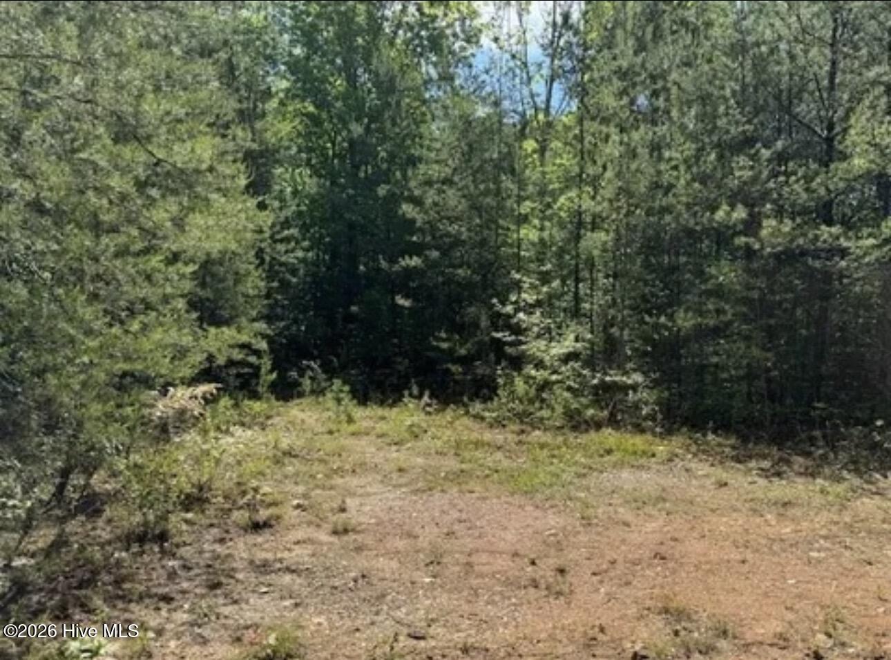 14 Tyler Lane Property Photo 3