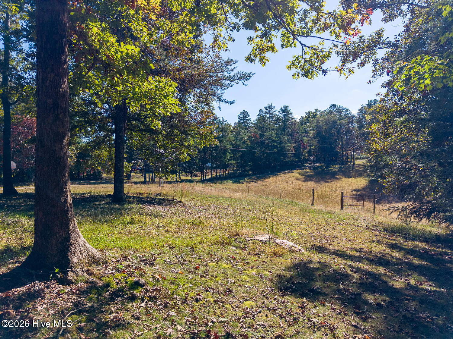 101 Natoli Way Property Photo 46