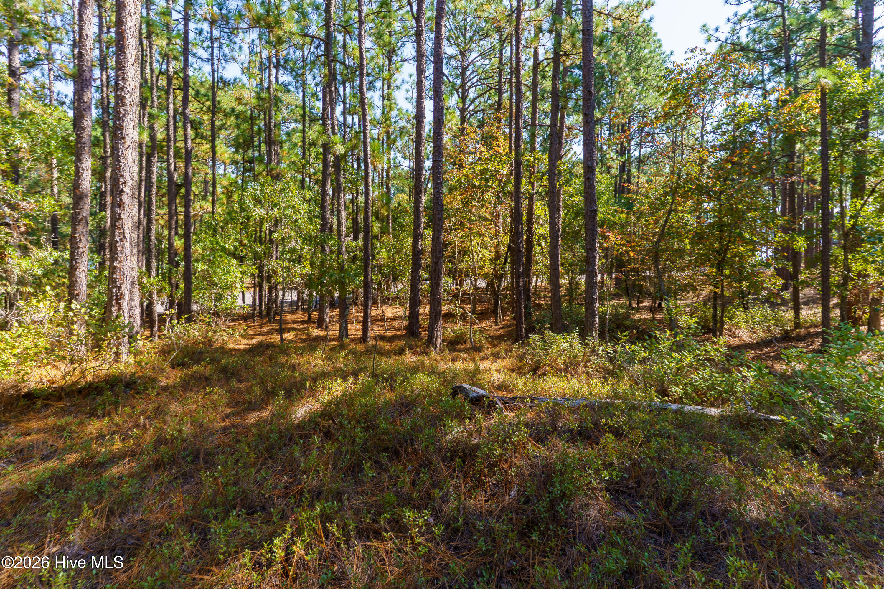 134 Vanore Road Property Photo 2