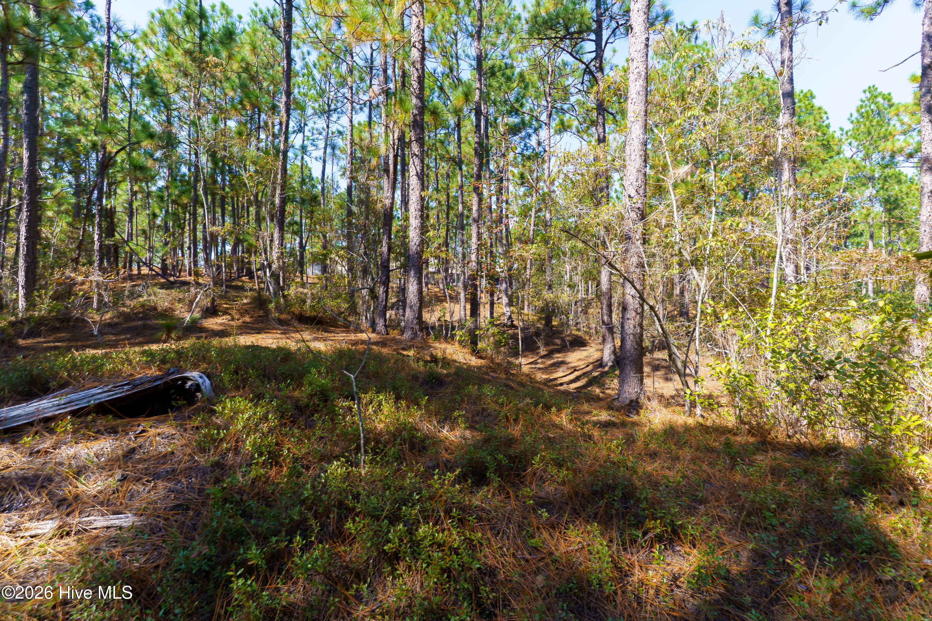 134 Vanore Road Property Photo 3