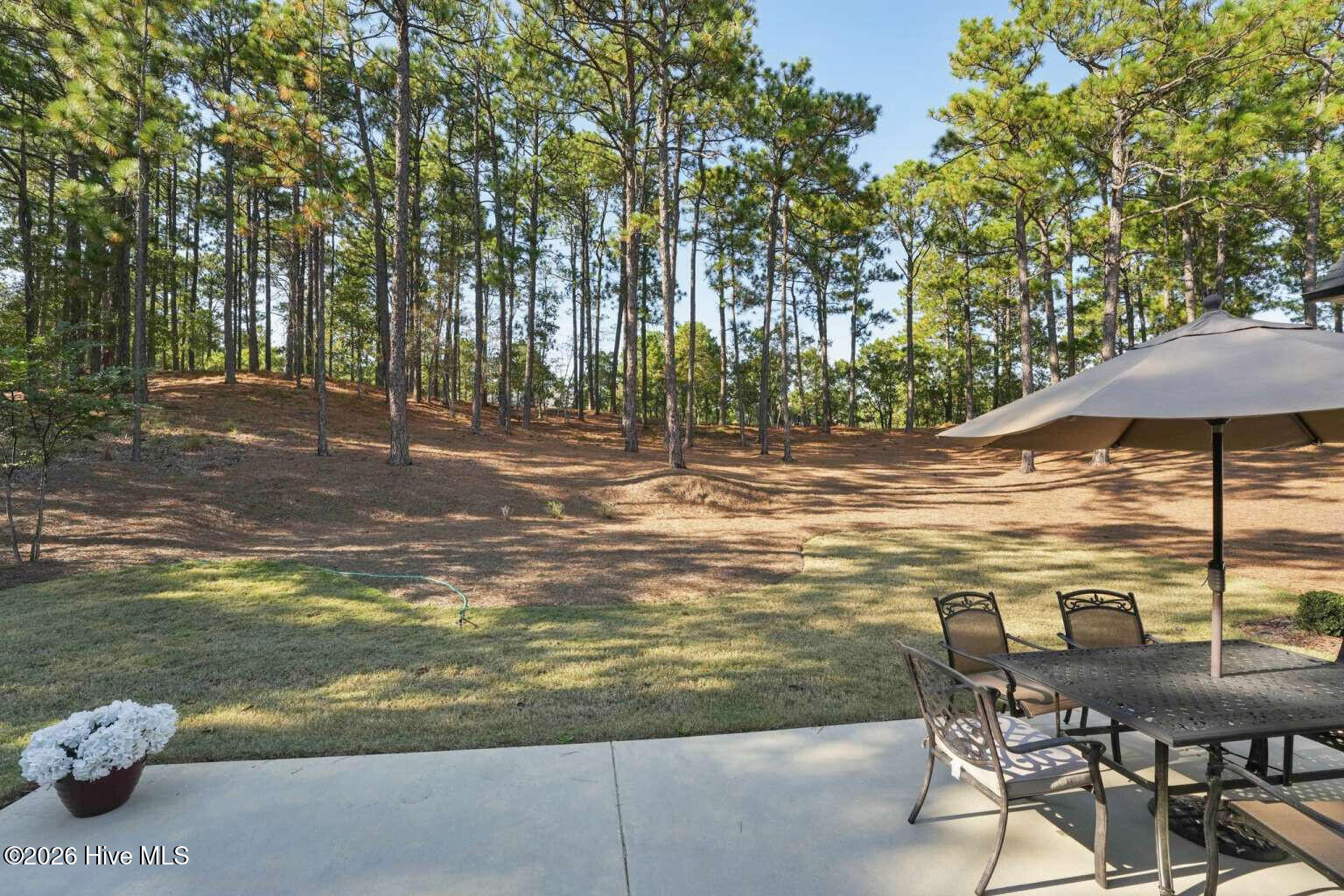 113 Pittman Road Property Photo 11