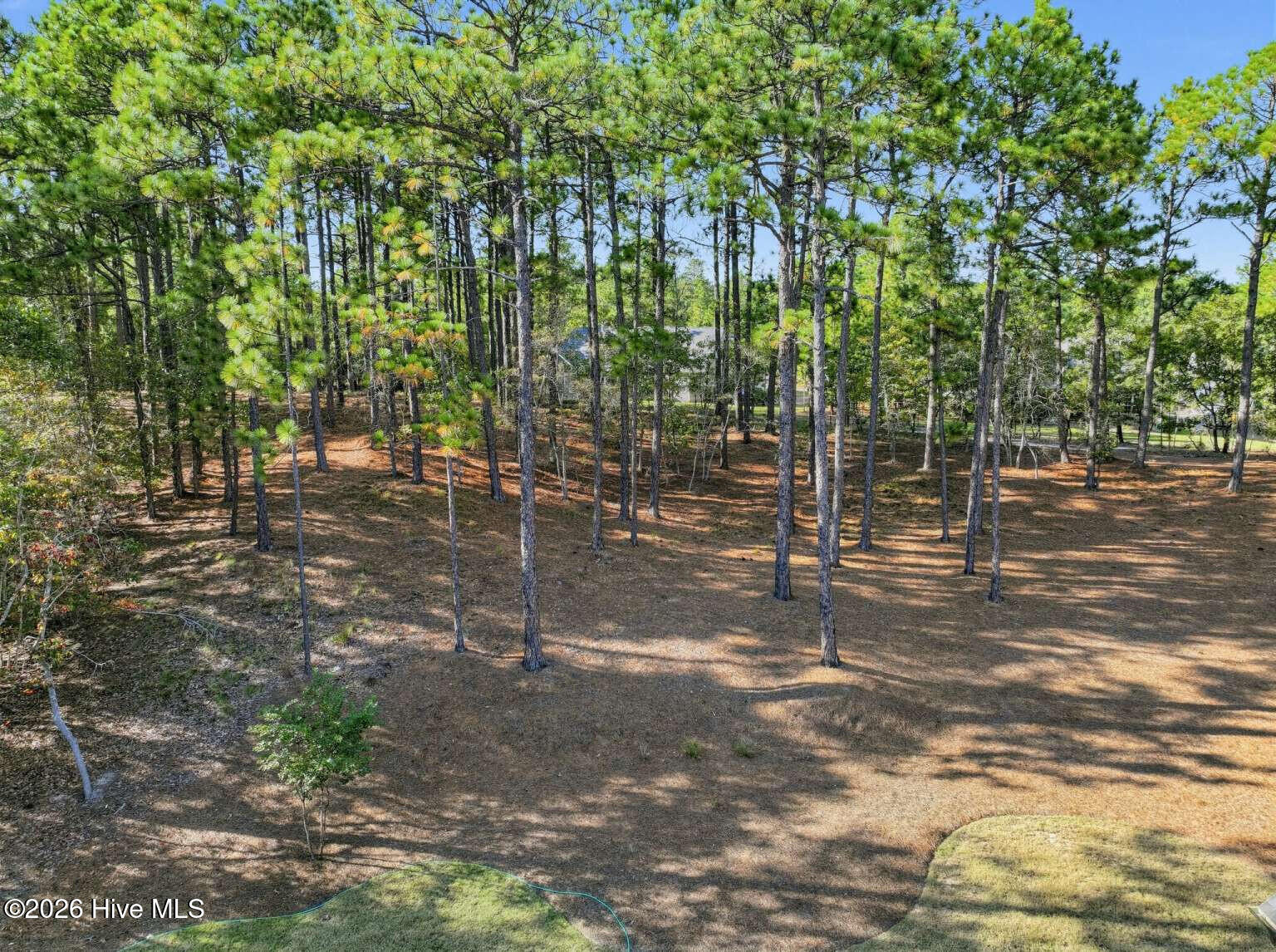 113 Pittman Road Property Photo 65