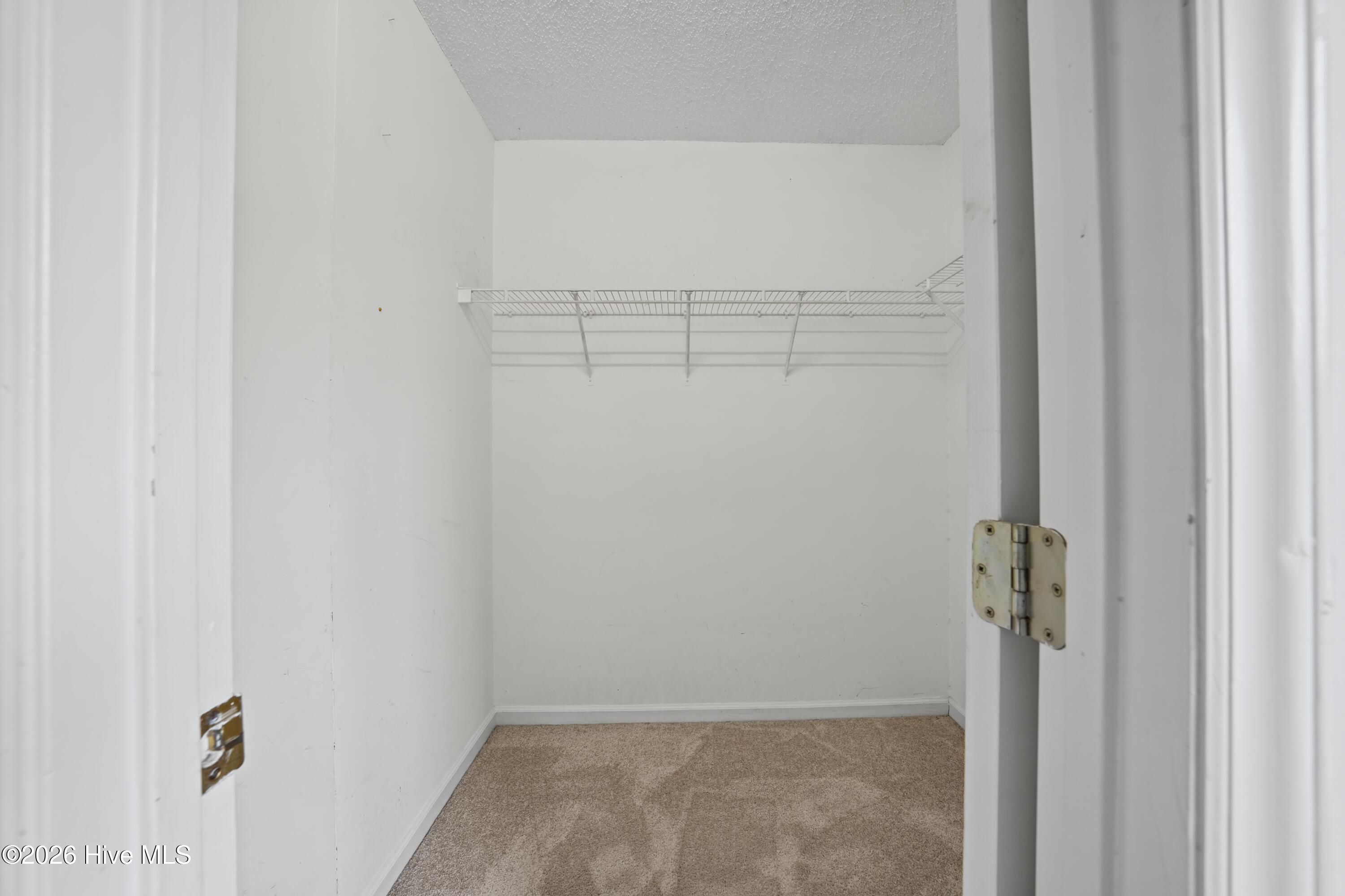 2219 Sapling Circle Property Photo 17
