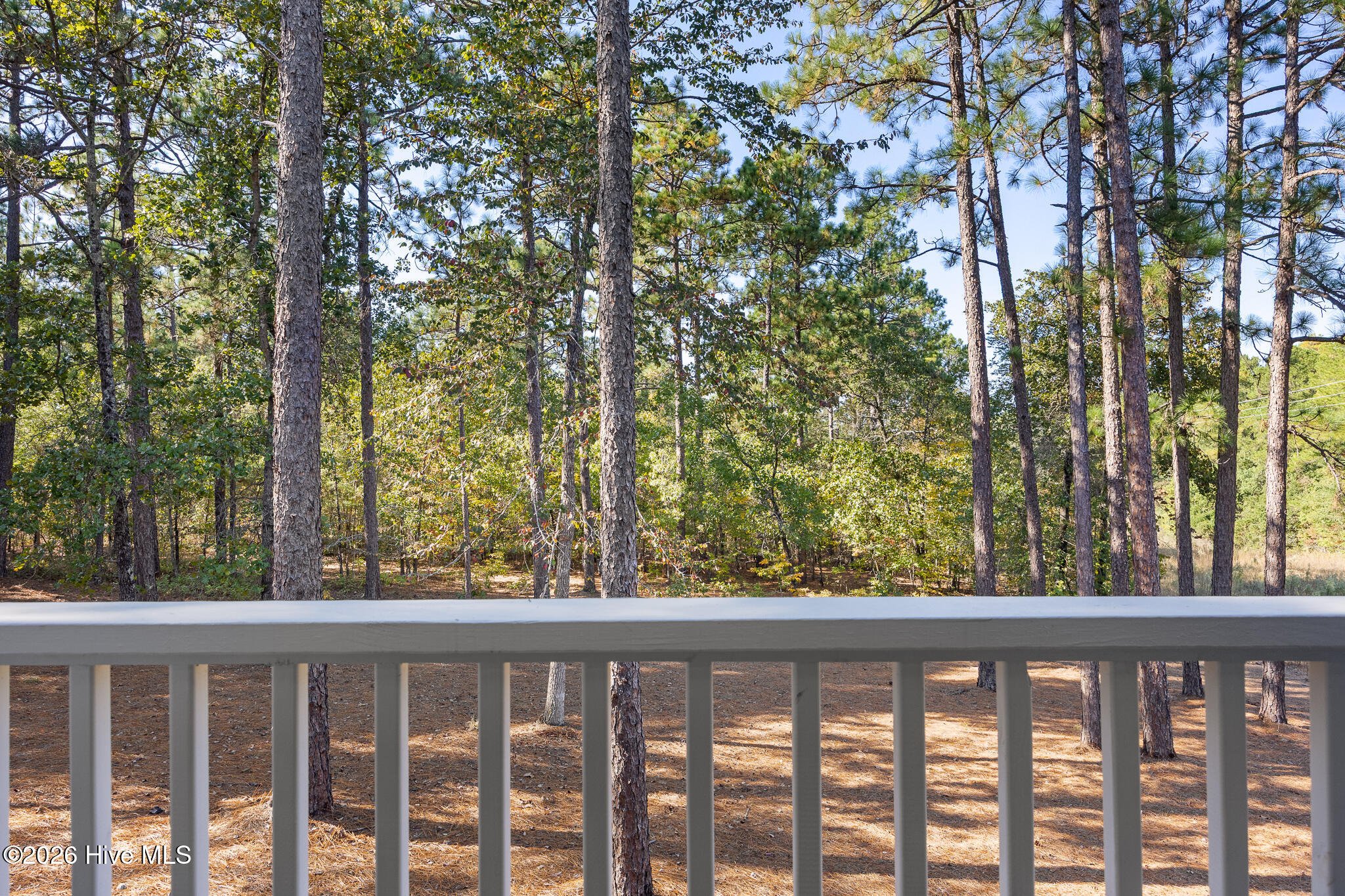 26 Kilbride Drive Property Photo 16