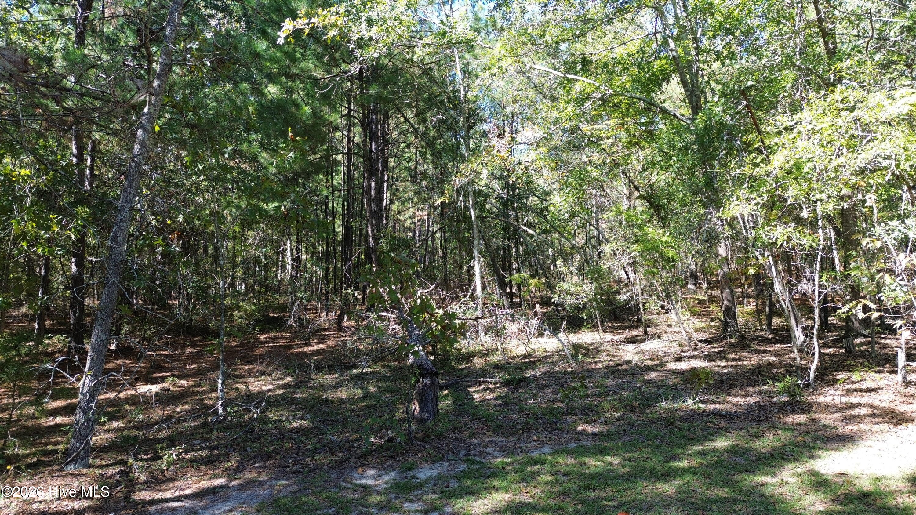 314 Windy Ridge Road Property Photo 36