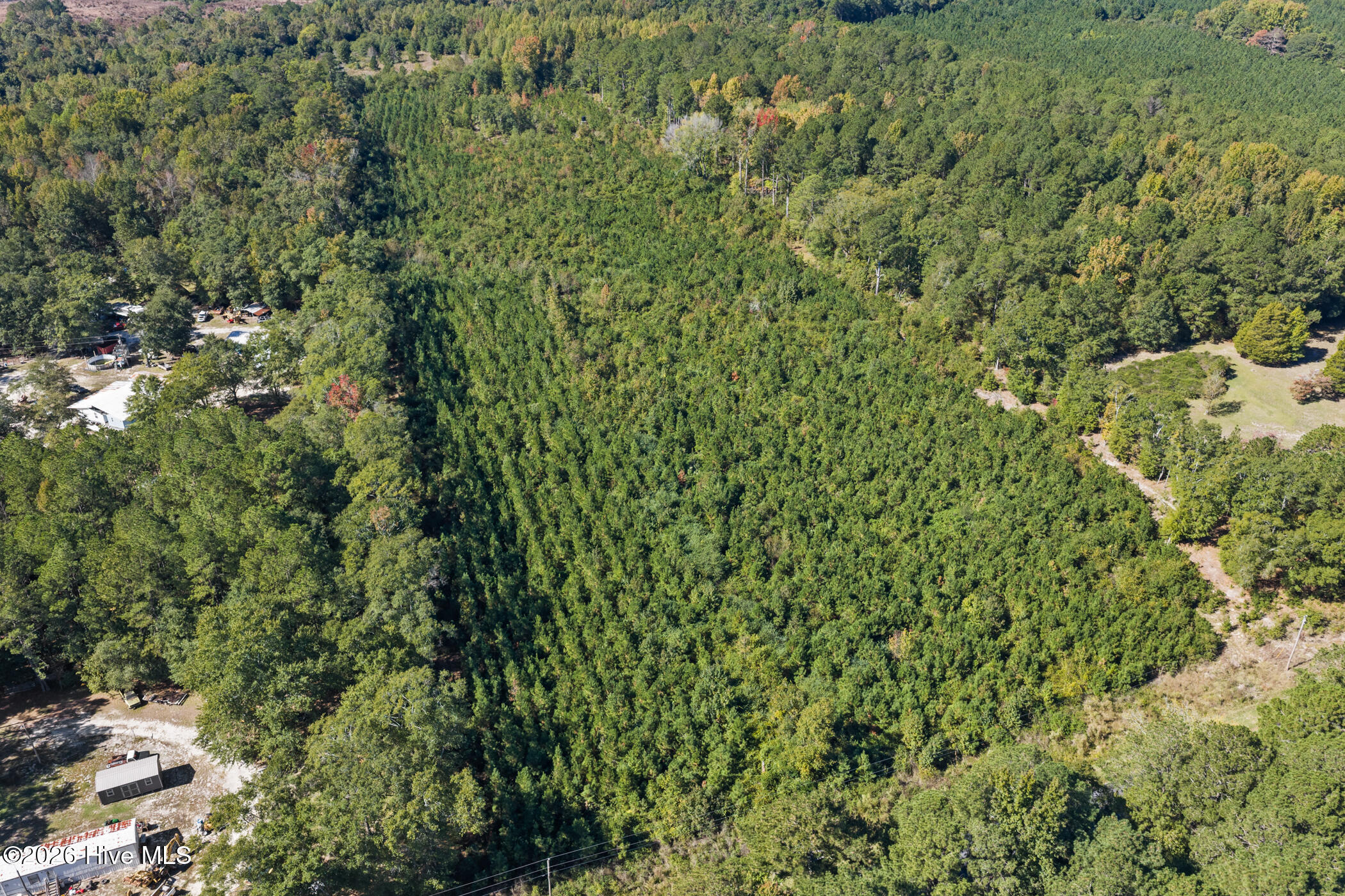 Tract 2 Scholl Rd Property Photo 1
