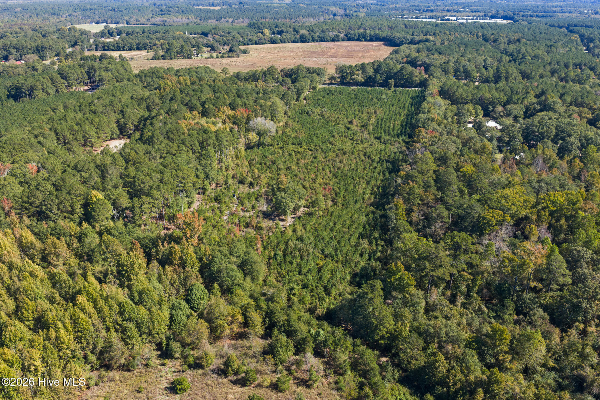 Tract 2 Scholl Rd Property Photo 6