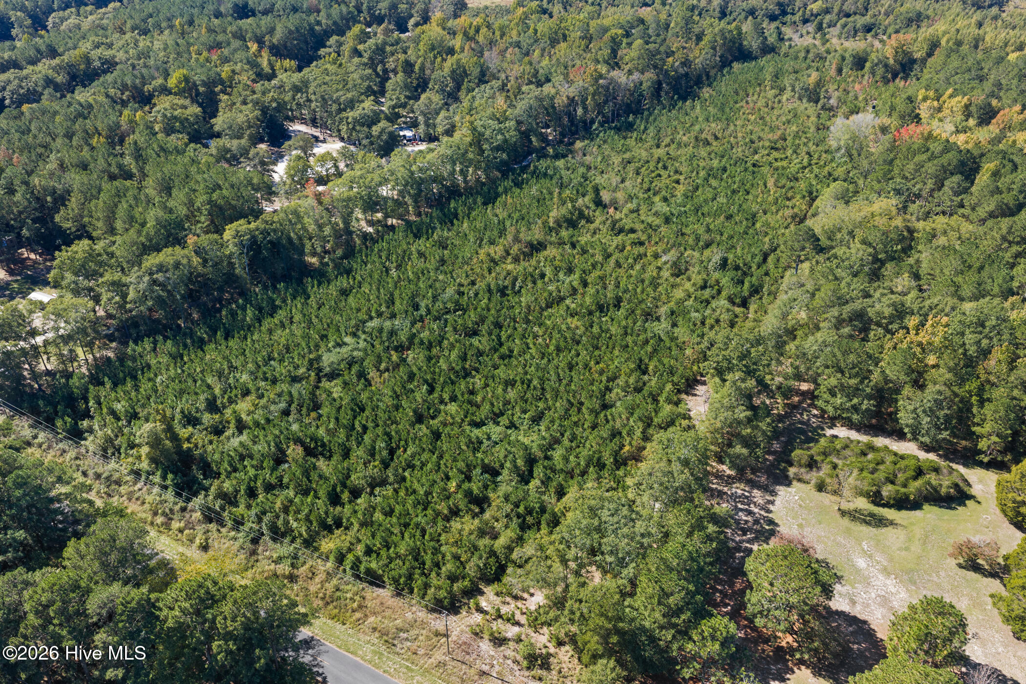 Tract 2 Scholl Rd Property Photo 13