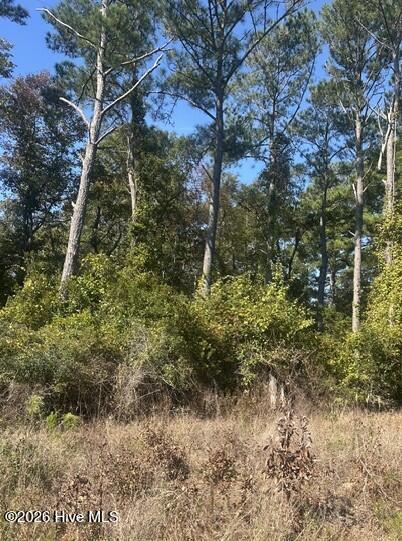 Lot 7 7 Venice Lane Property Photo 6