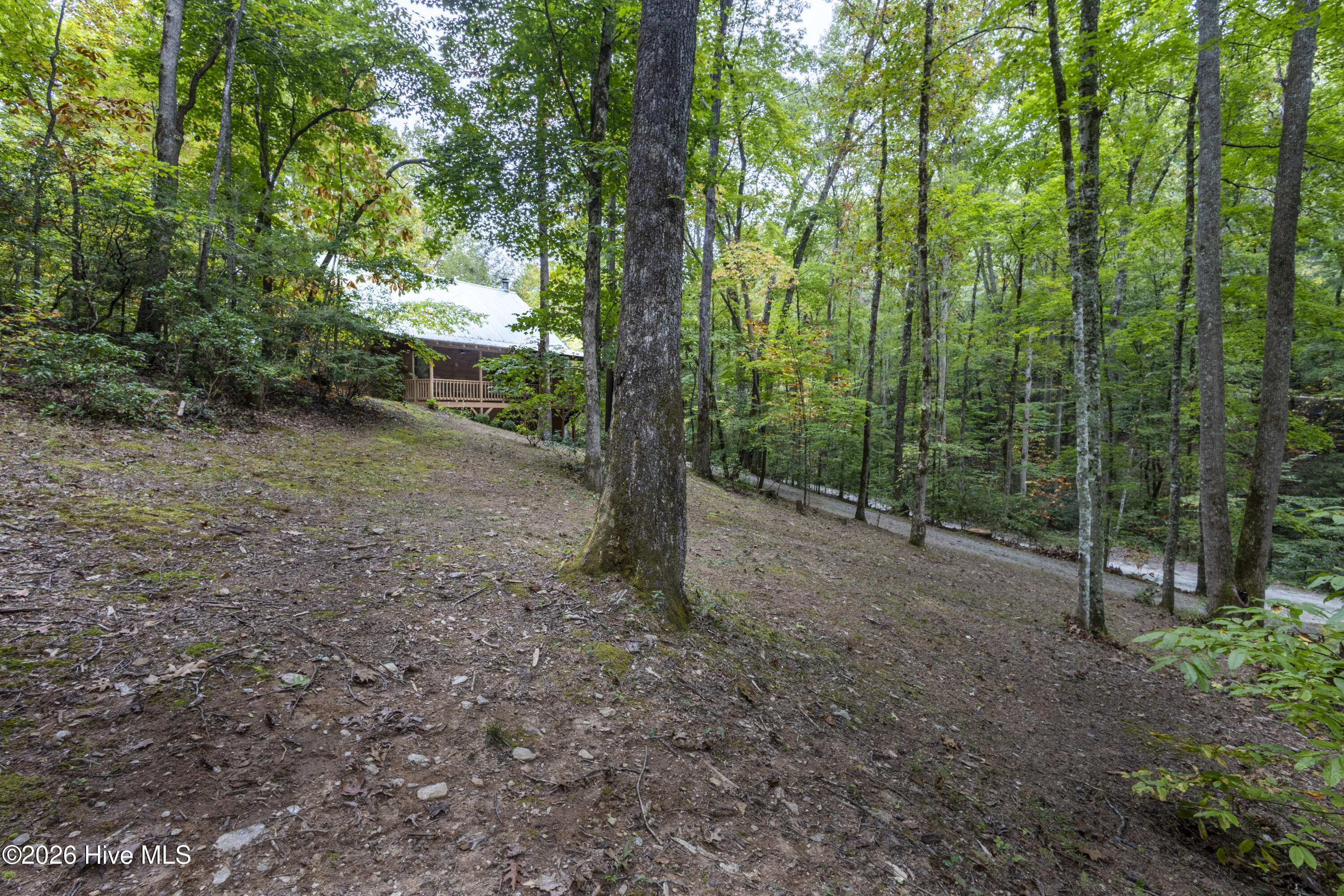 615 Valley View Heights Lane Property Photo 32