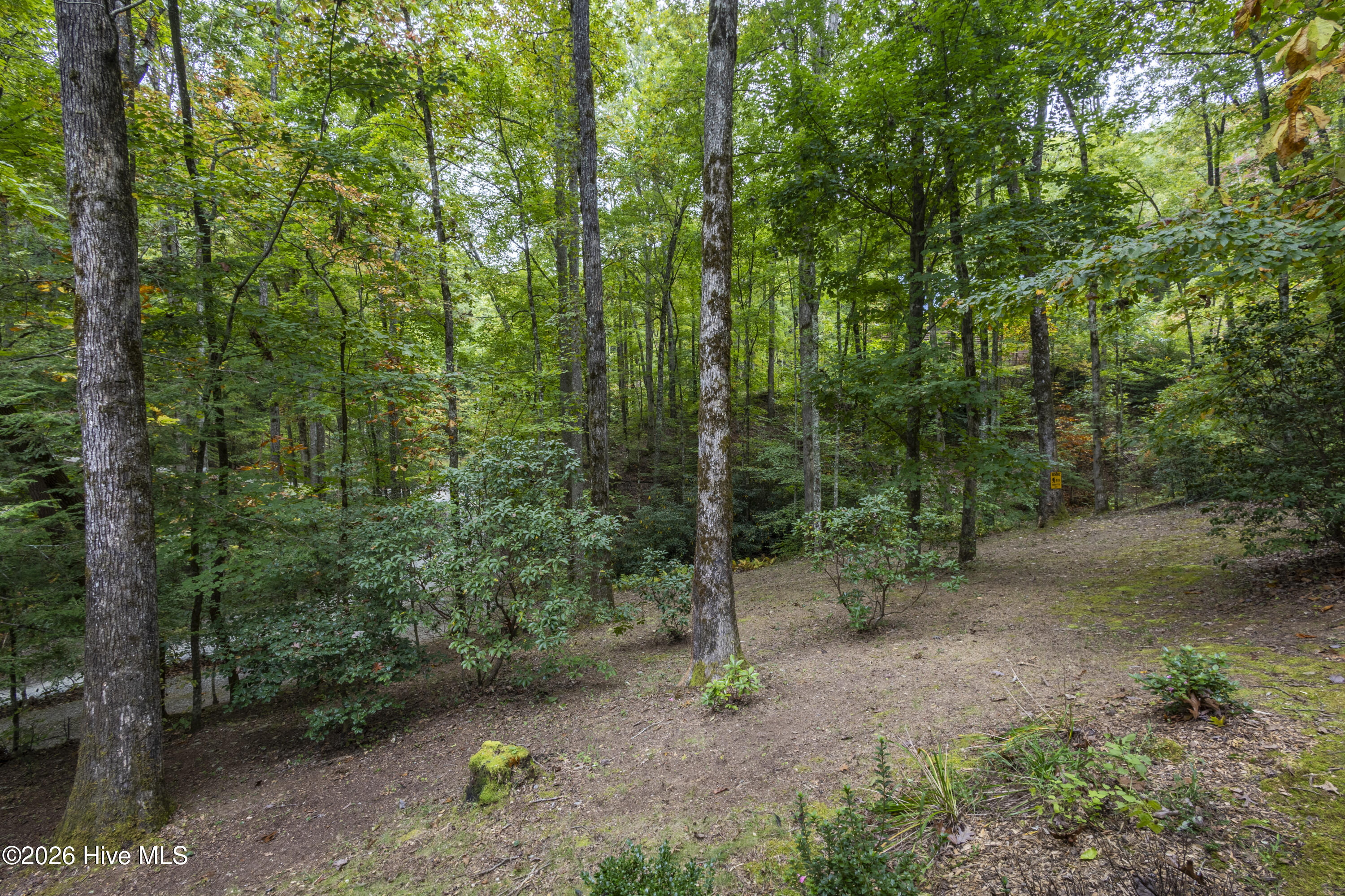 615 Valley View Heights Lane Property Photo 51