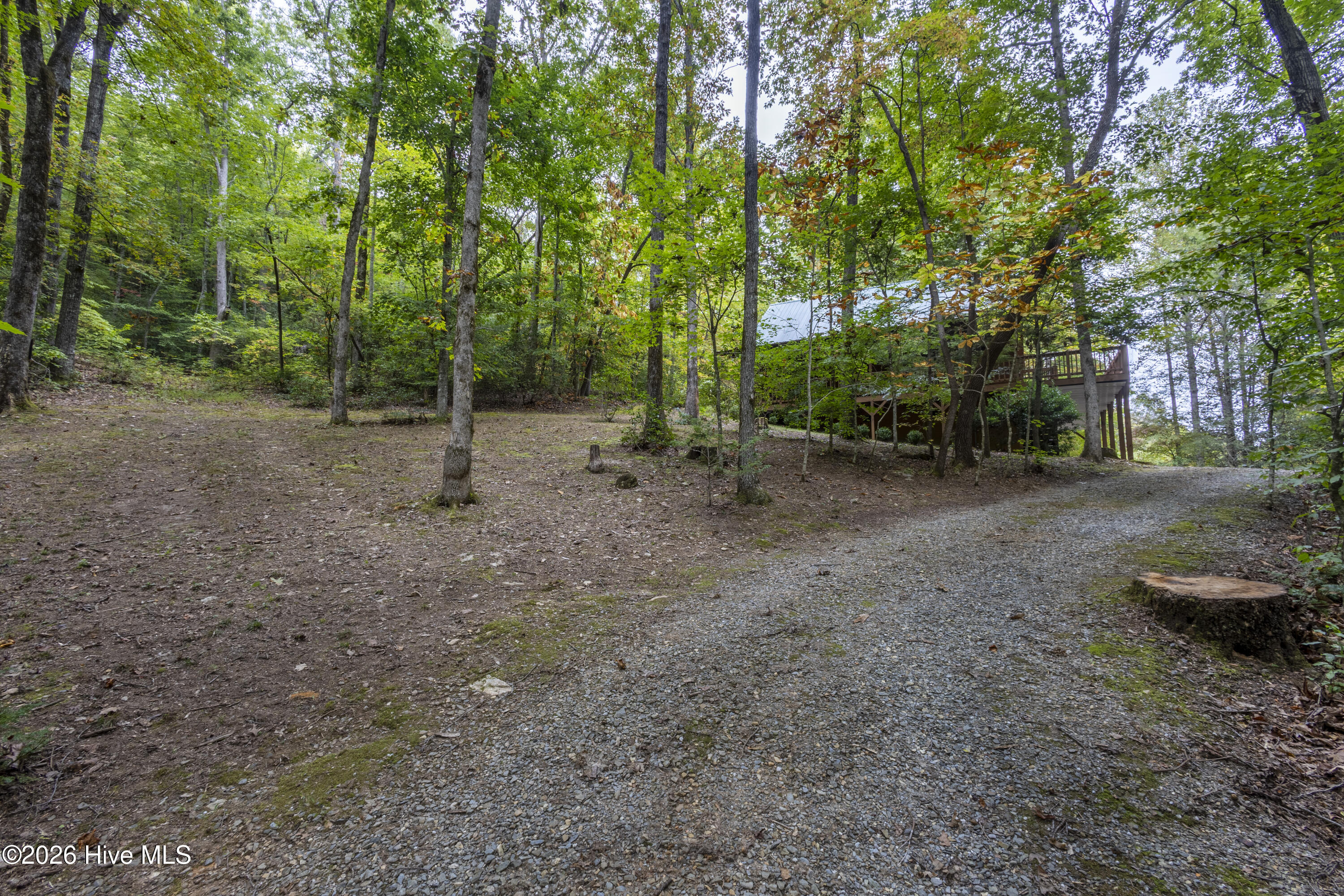 615 Valley View Heights Lane Property Photo 54
