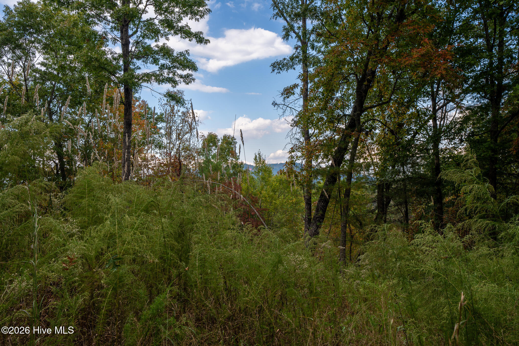 Lot 22 Morris Ridge Drive Property Photo 14