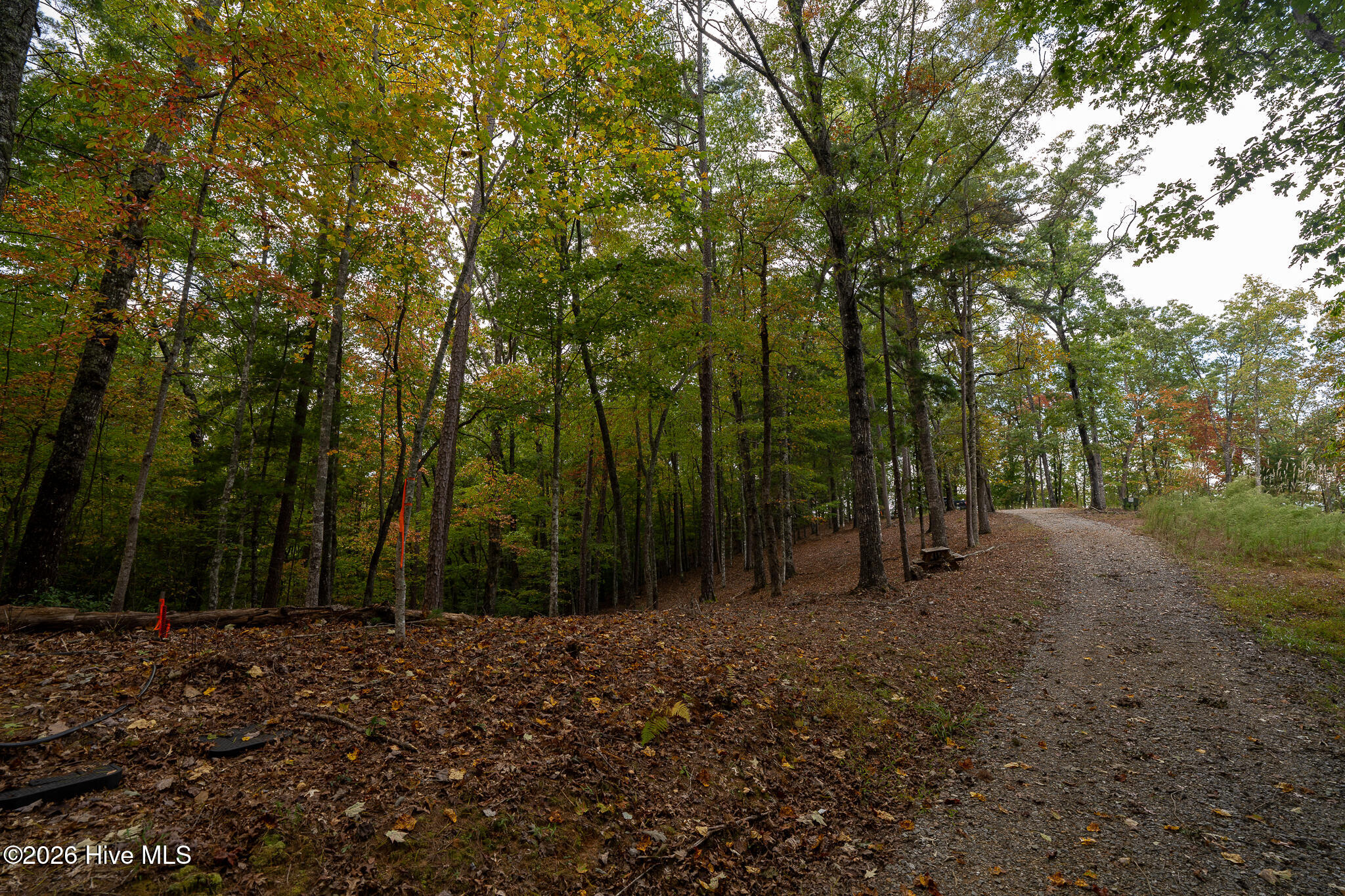 Lot 22 Morris Ridge Drive Property Photo 15