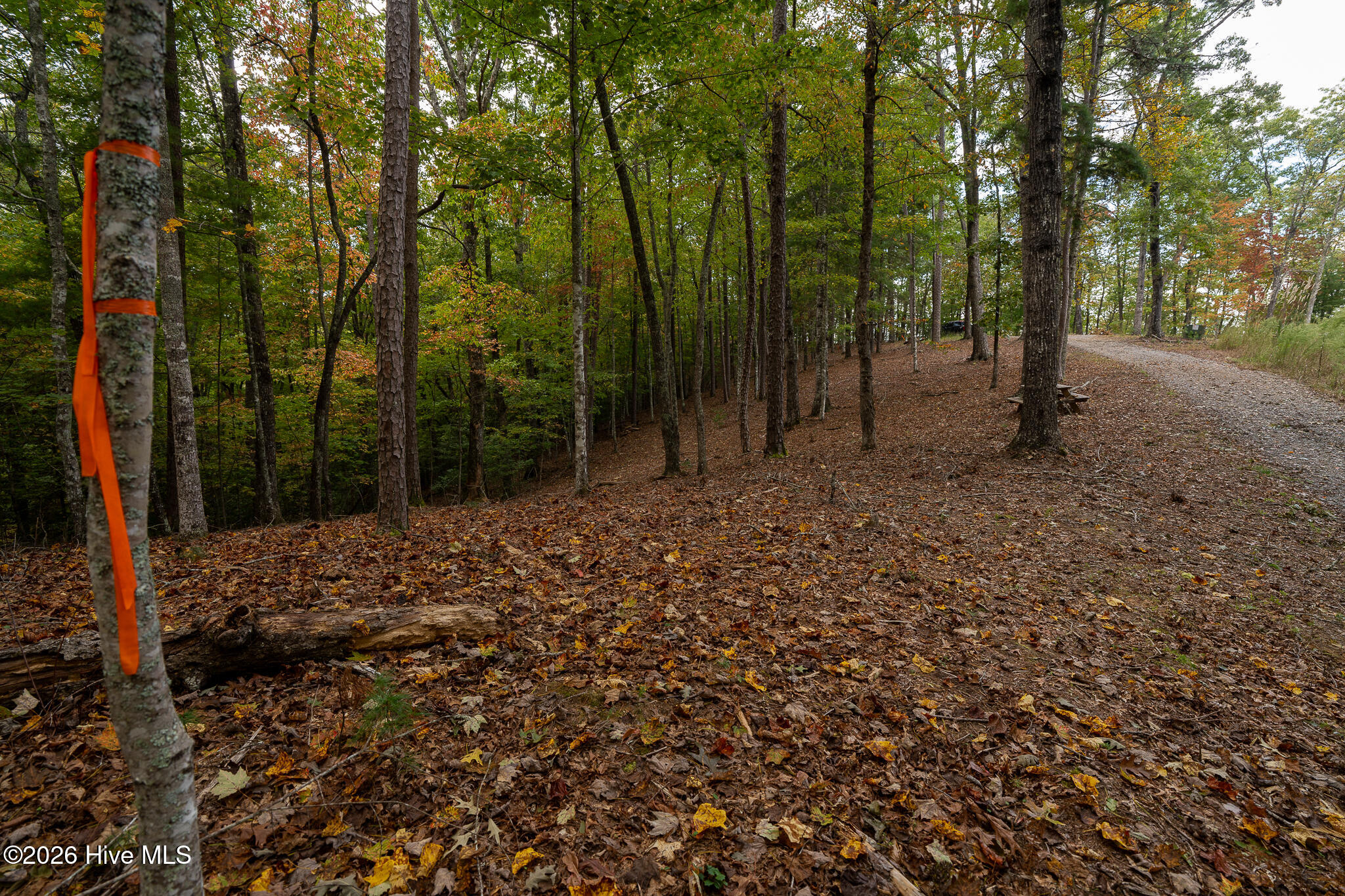 Lot 22 Morris Ridge Drive Property Photo 16