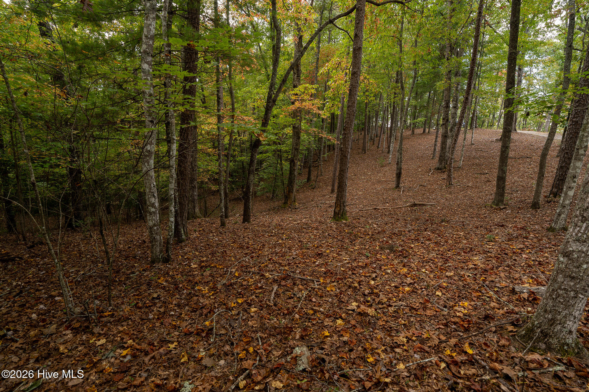 Lot 22 Morris Ridge Drive Property Photo 17