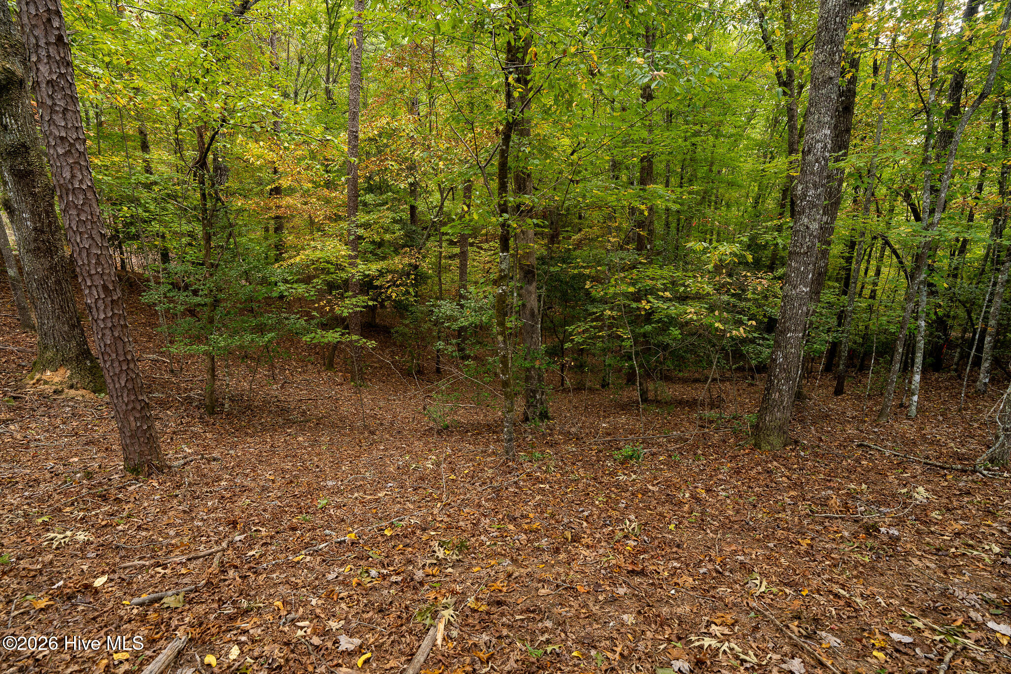 Lot 22 Morris Ridge Drive Property Photo 18