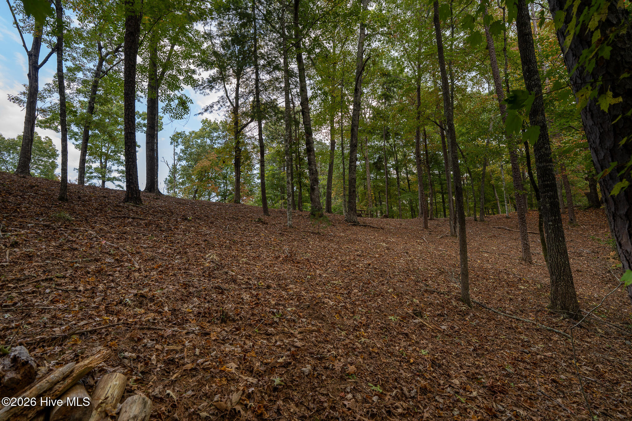 Lot 22 Morris Ridge Drive Property Photo 19