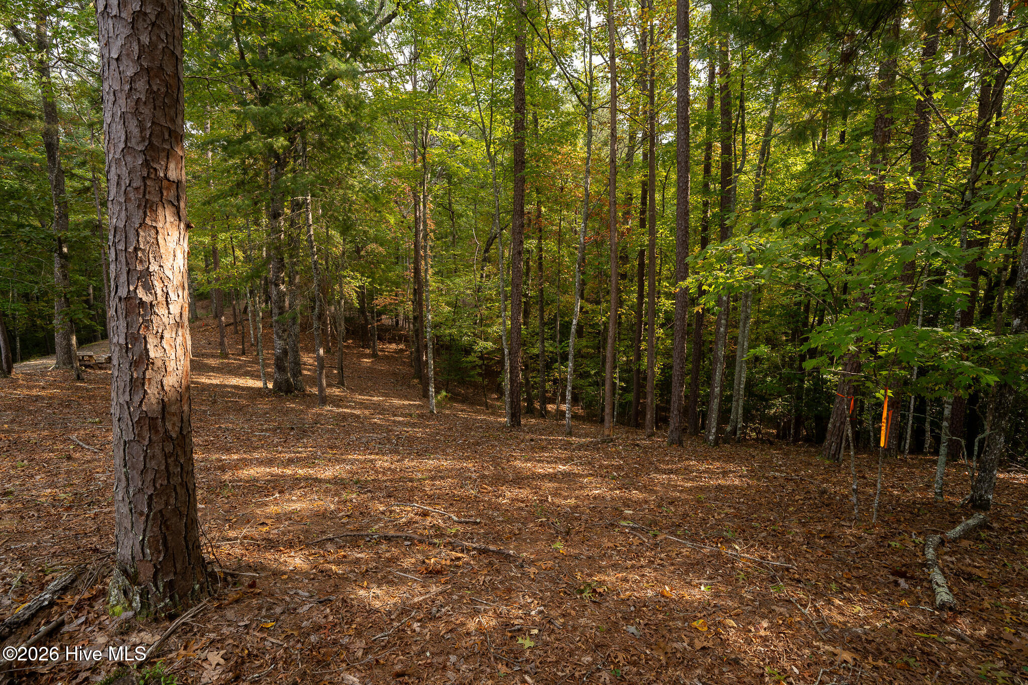 Lot 22 Morris Ridge Drive Property Photo 20