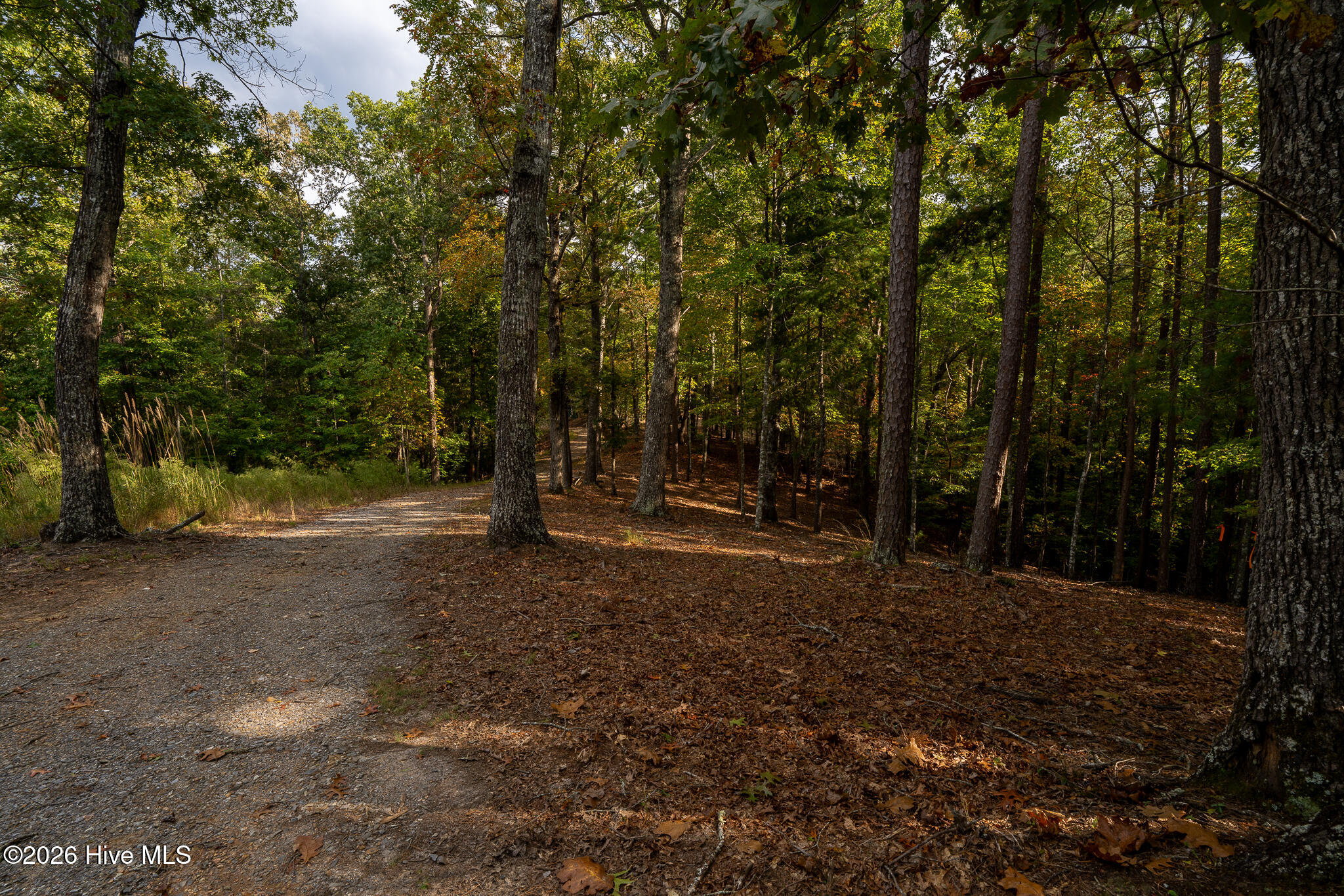 Lot 22 Morris Ridge Drive Property Photo 22
