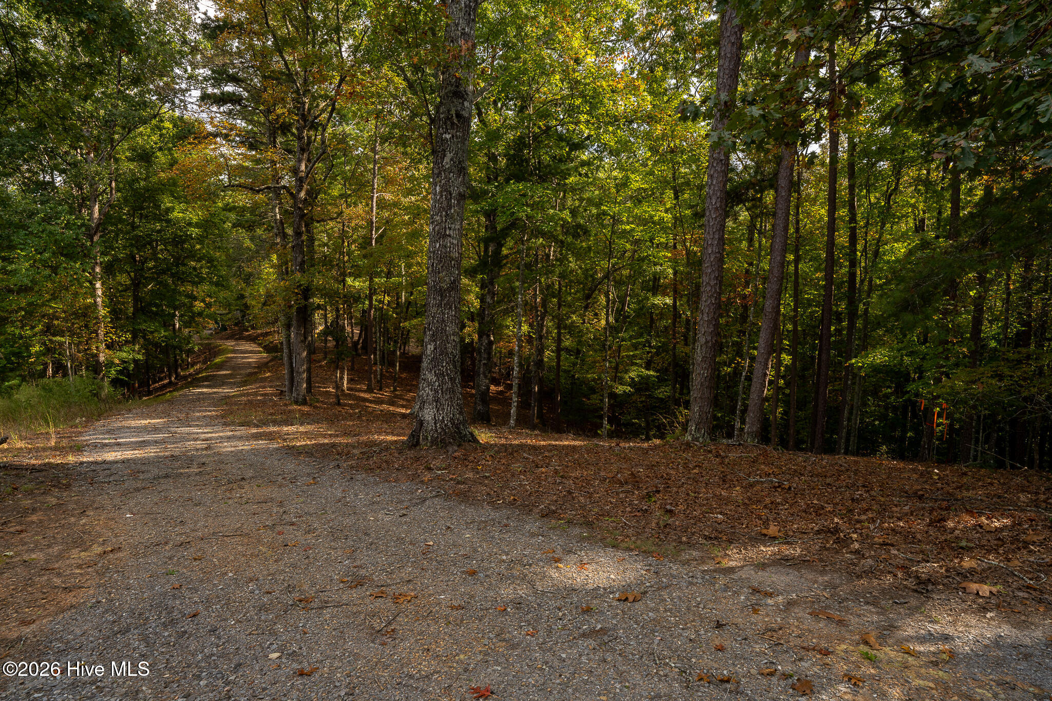 Lot 22 Morris Ridge Drive Property Photo 23