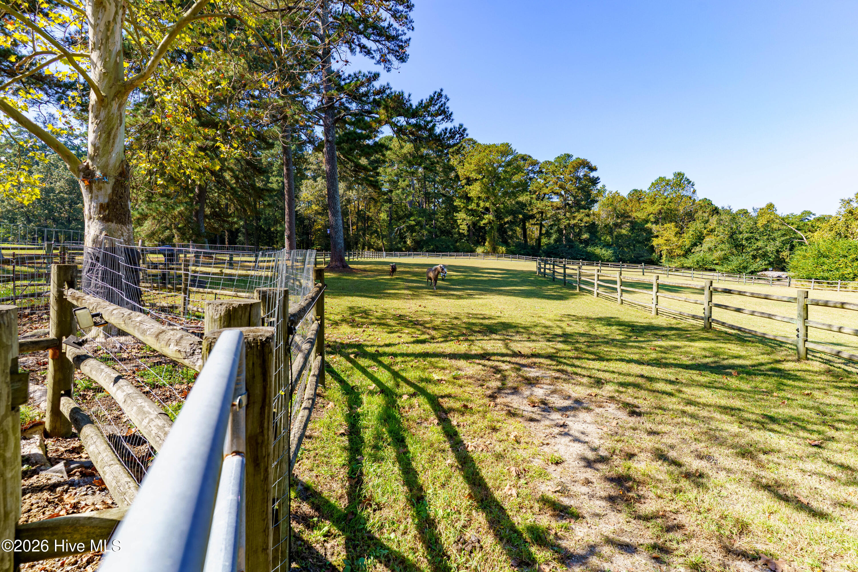 275 Tremont Place Property Photo 46