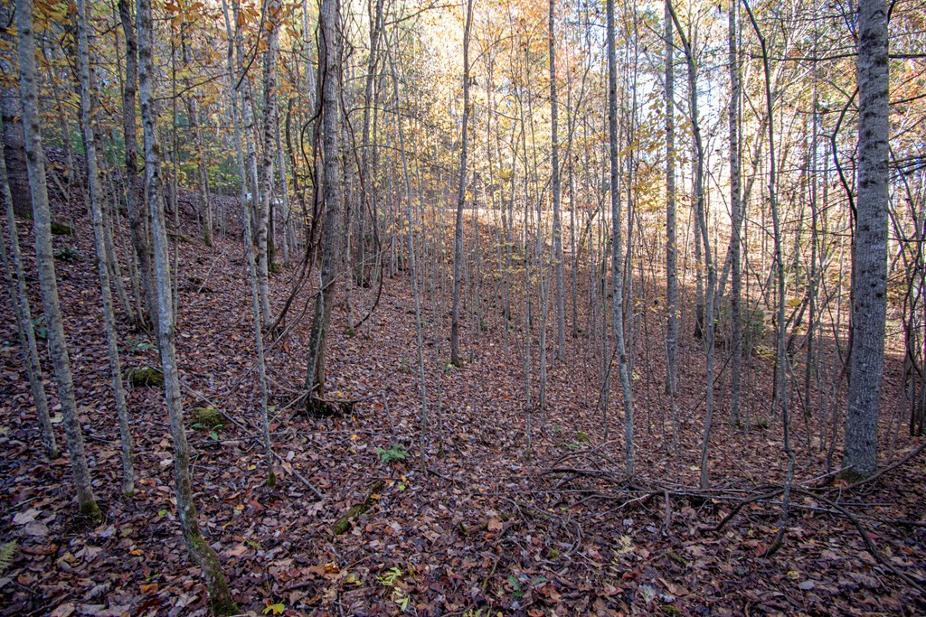 Lt 66 66 Choctaw Ridge Trail Property Photo 2