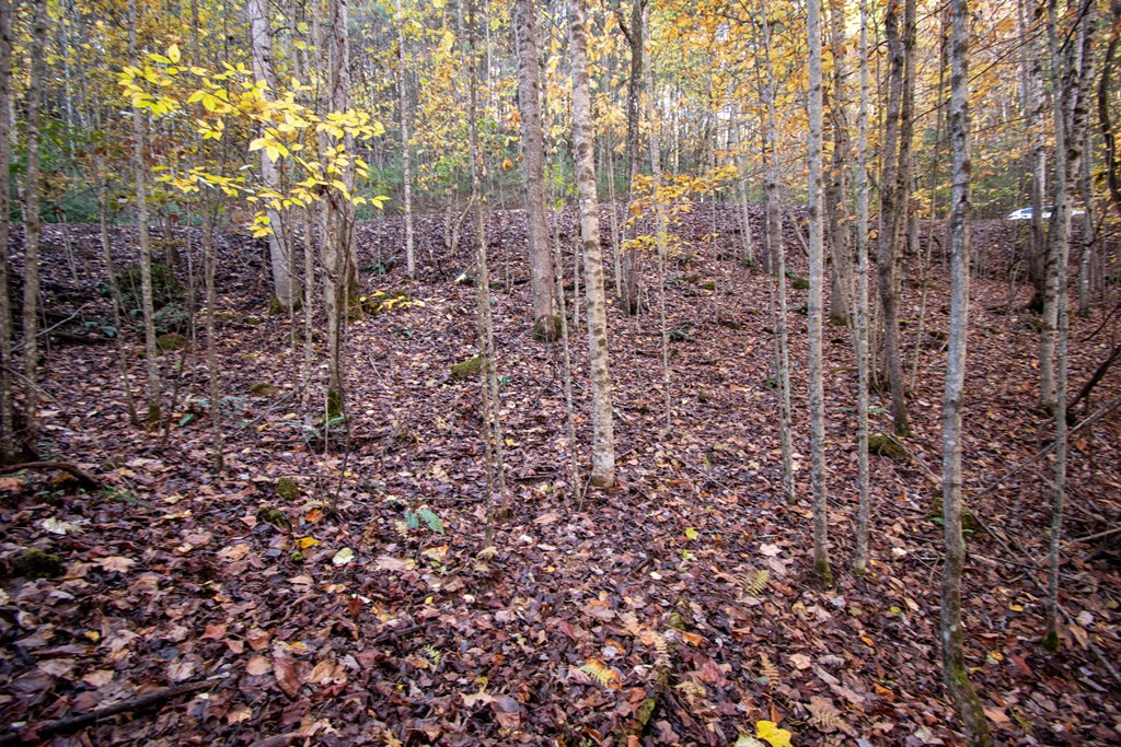 Lt 66 66 Choctaw Ridge Trail Property Photo 3