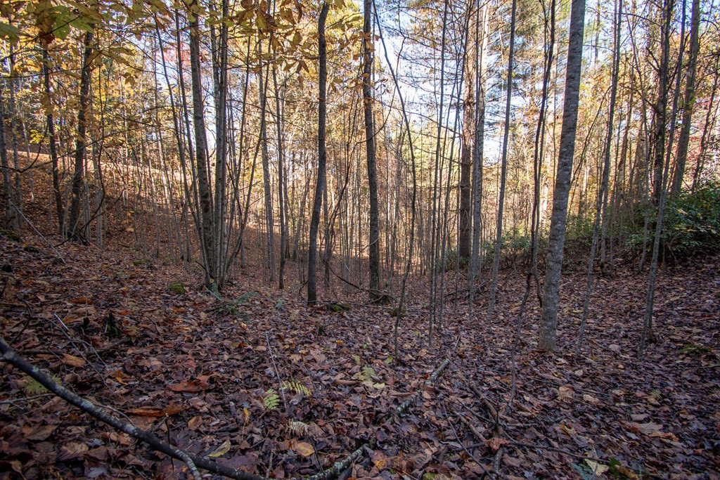 Lt 66 66 Choctaw Ridge Trail Property Photo 5
