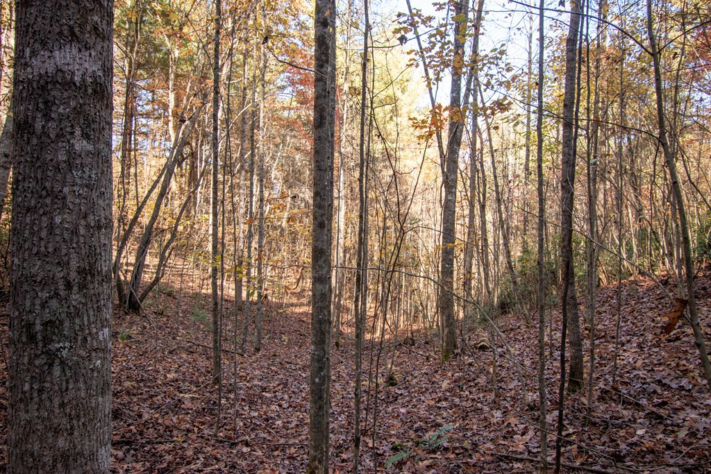 Lt 66 66 Choctaw Ridge Trail Property Photo 7