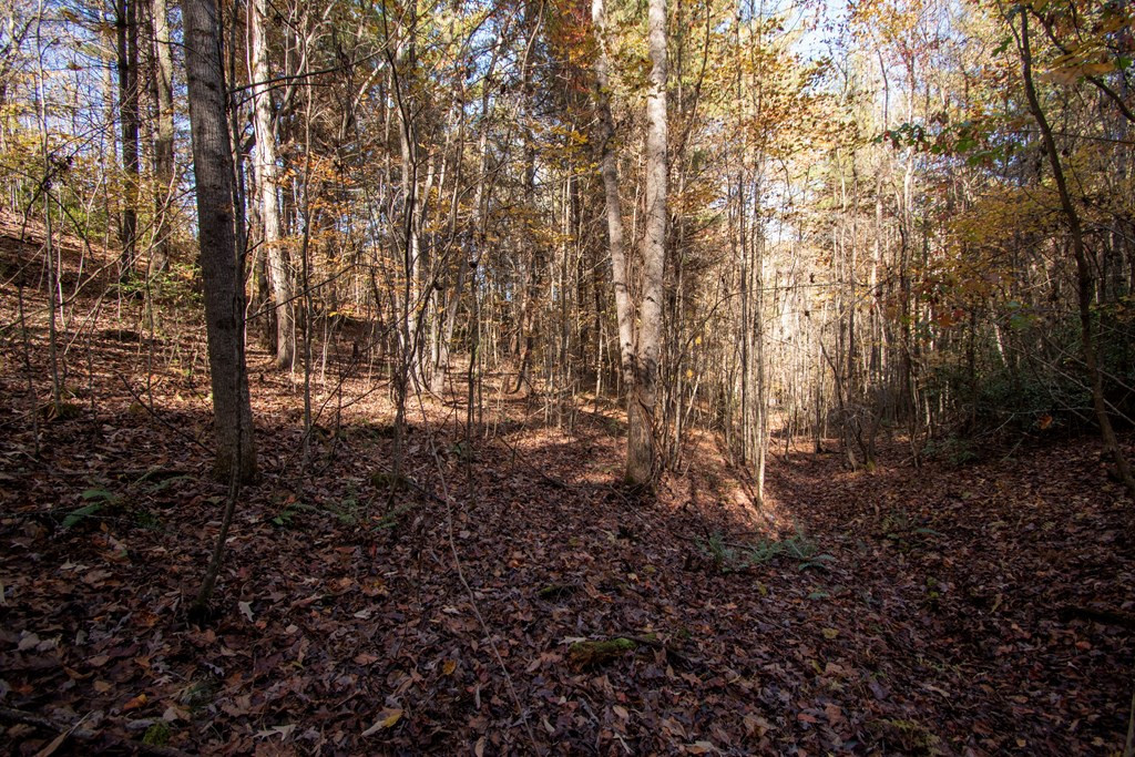 Lt 66 66 Choctaw Ridge Trail Property Photo 8