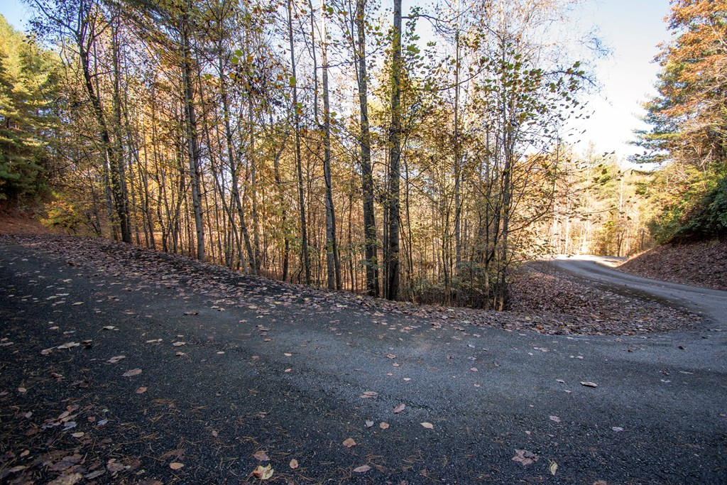 Lt 66 66 Choctaw Ridge Trail Property Photo 9