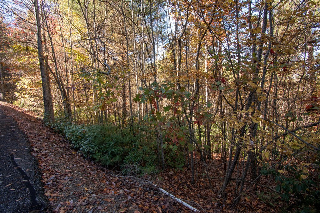 Lt 66 66 Choctaw Ridge Trail Property Photo 10