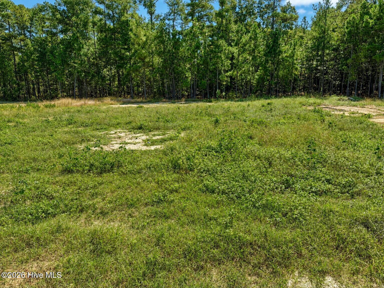 691 Hector Mcneill Road Property Photo 14