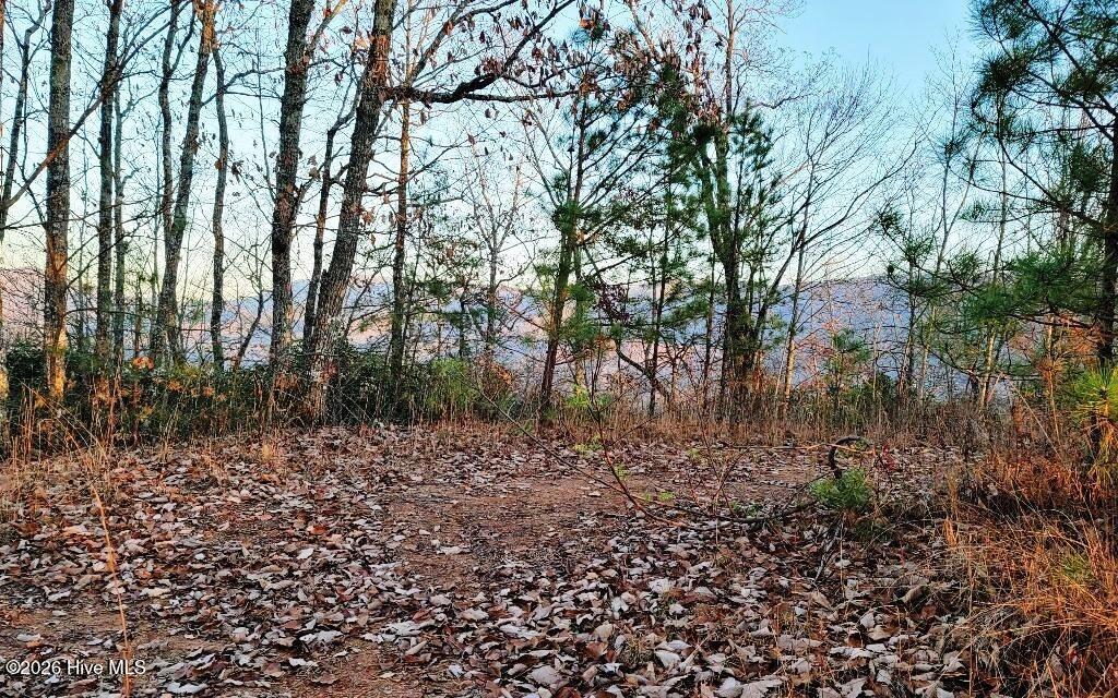 Lt6&7oflt2 6 & 7 Of Lot 2 Valley View Heights Ln Property Photo 4