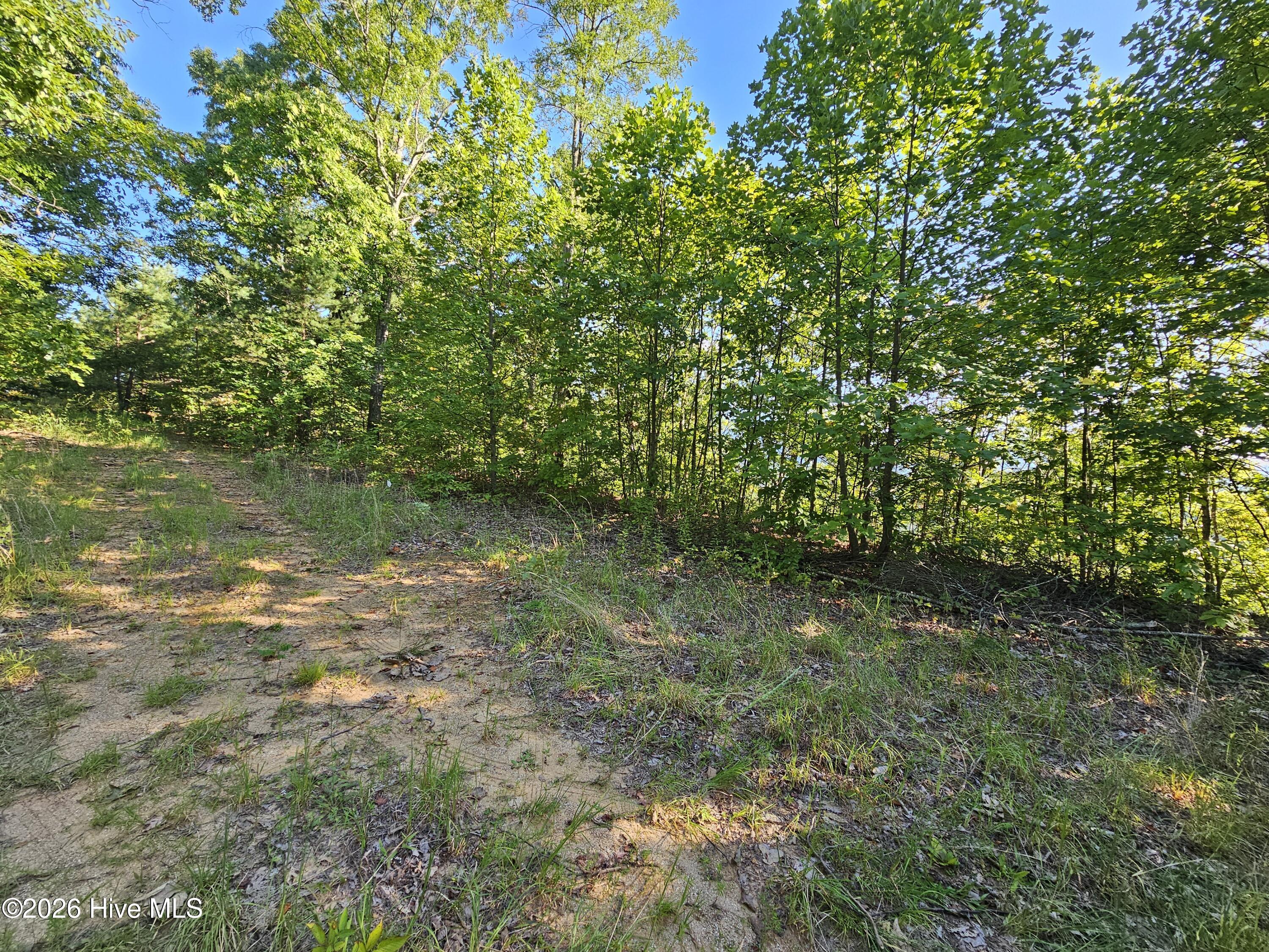 Lt6&7oflt2 6 & 7 Of Lot 2 Valley View Heights Ln Property Photo 9