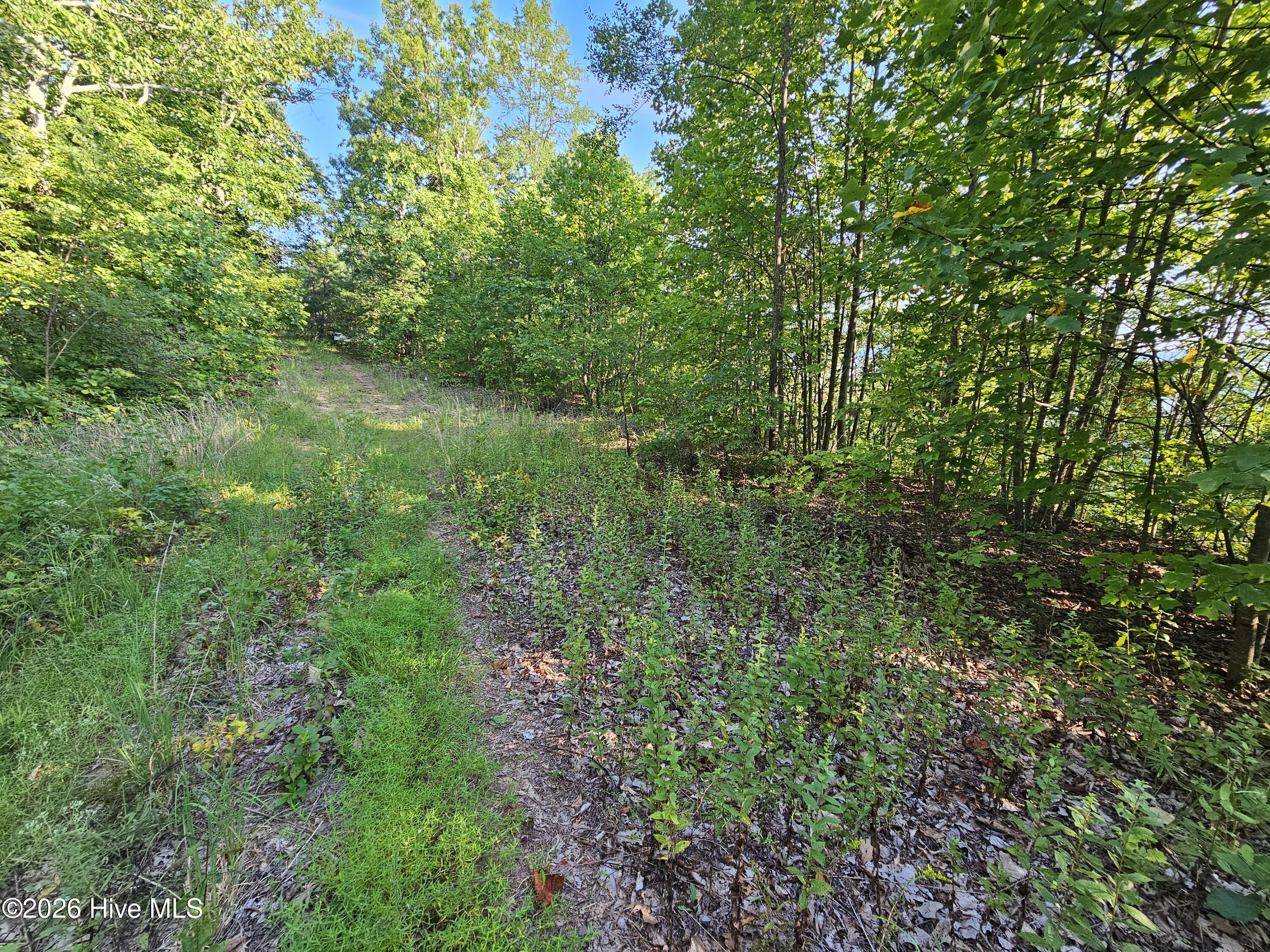 Lt6&7oflt2 6 & 7 Of Lot 2 Valley View Heights Ln Property Photo 10